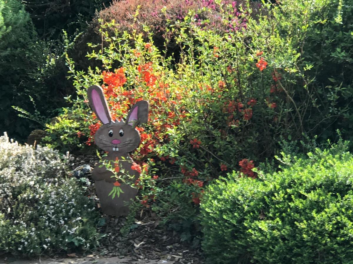 Bien Etre Et Detente Chez Cote Campagne Et Jardin Ohnenheim المظهر الخارجي الصورة
